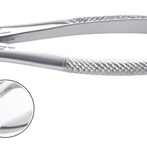 Upper Incisors & Canines Forceps Fig #1 