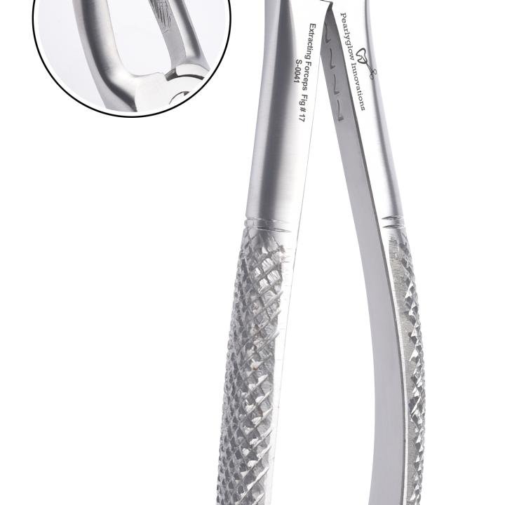 Upper Molar Right Forceps Fig #17 