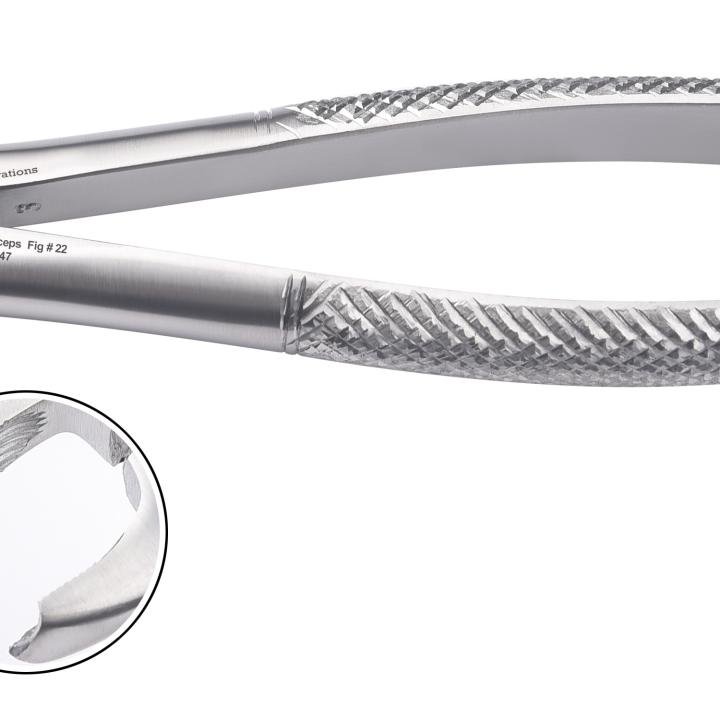 Lower Molar Universal Forceps Fig #22 
