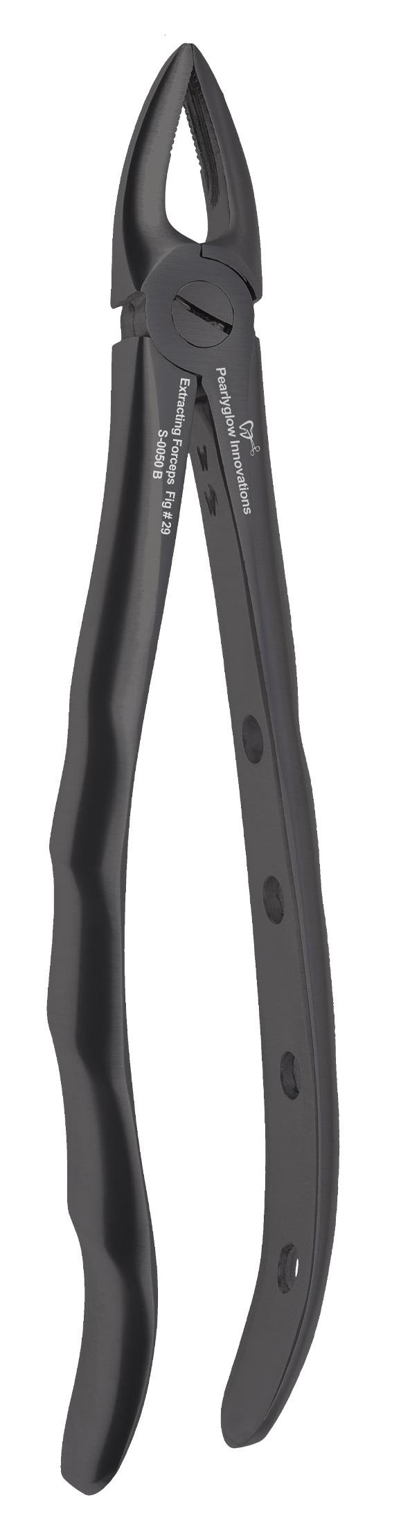 Upper Roots & Incisors Forceps - Black Fig #29