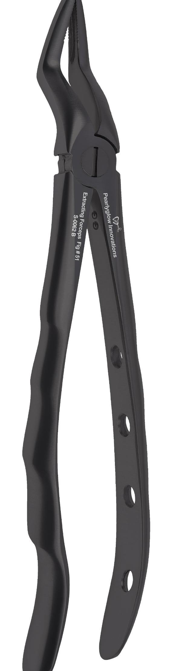 Upper Root / Bayonet Forceps - Black Fig #51